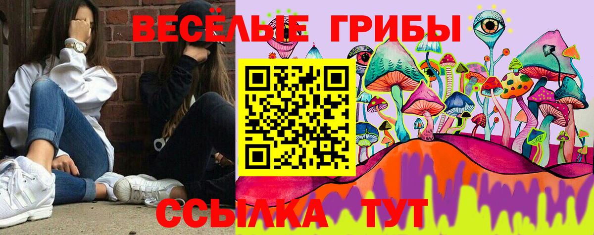 Галлюциногенные грибы ЛСД Амурск